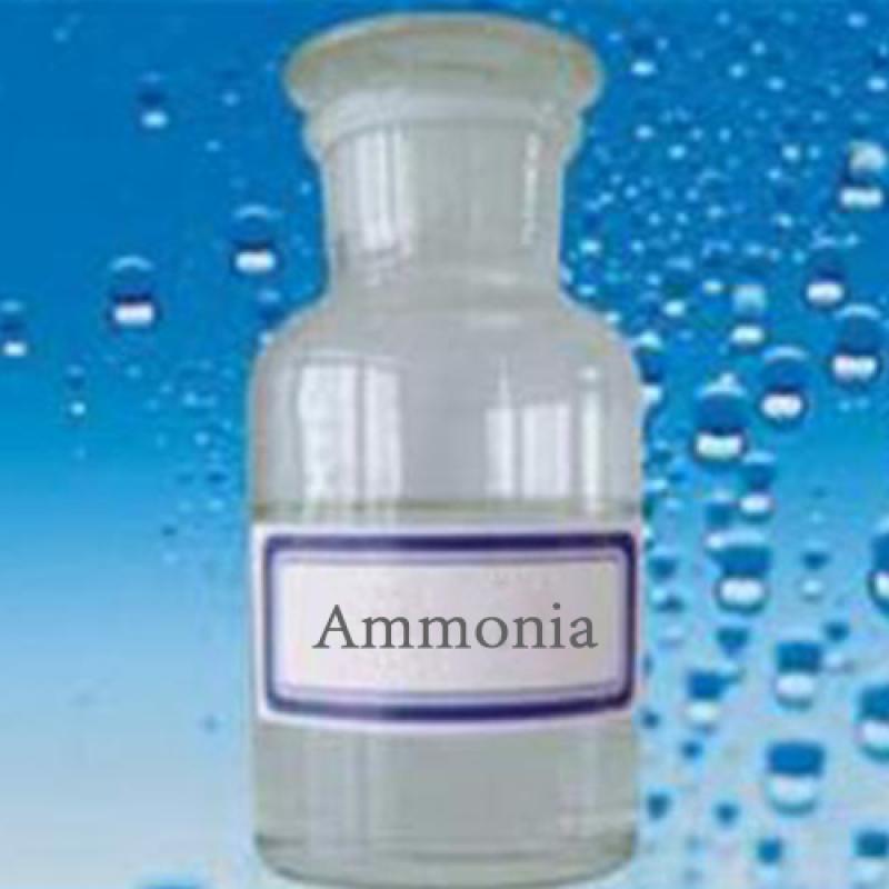 Various reaction phenomena of ammonia